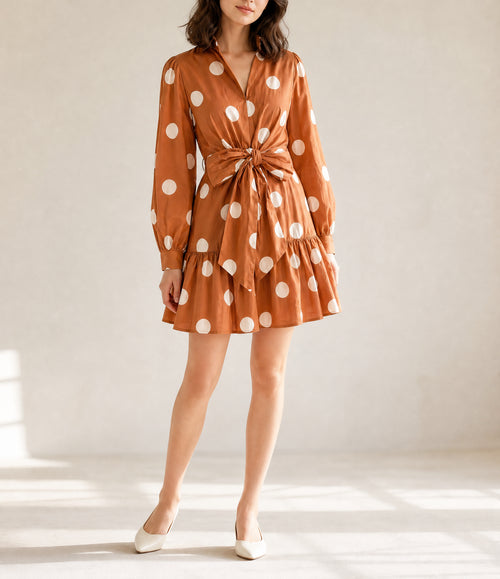 Brown Polka Dot Long Sleeve Tie Waist Casual Shift Mini Dress